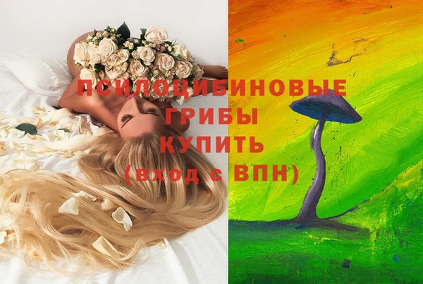 круглые Армянск